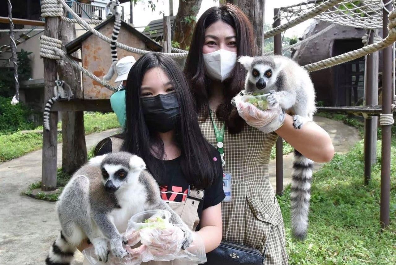 🐒 КХАО КХЕО СТАНДАРТ — ОТКРЫТЫЙ ЗООПАРК