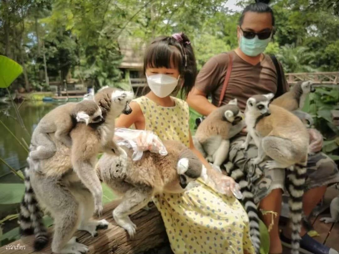 🐒 КХАО КХЕО СТАНДАРТ — ОТКРЫТЫЙ ЗООПАРК