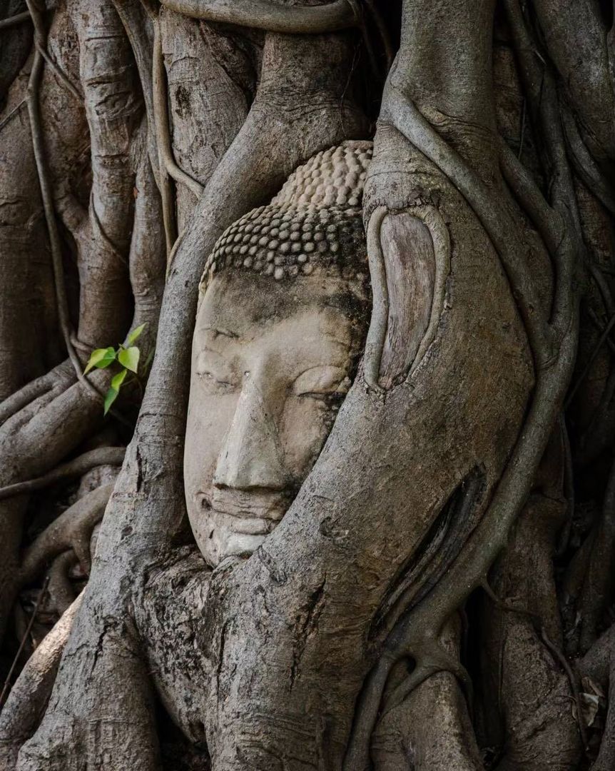 🕉️ РЕКА КВАЙ + АЮТТАЙЯ