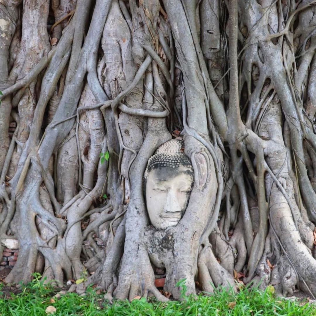 🕉️ РЕКА КВАЙ + АЮТТАЙЯ