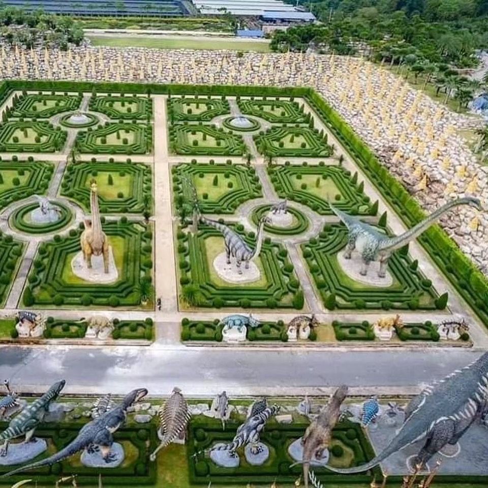 🌴 НОНГ НУЧ стандарт + 2 шоу