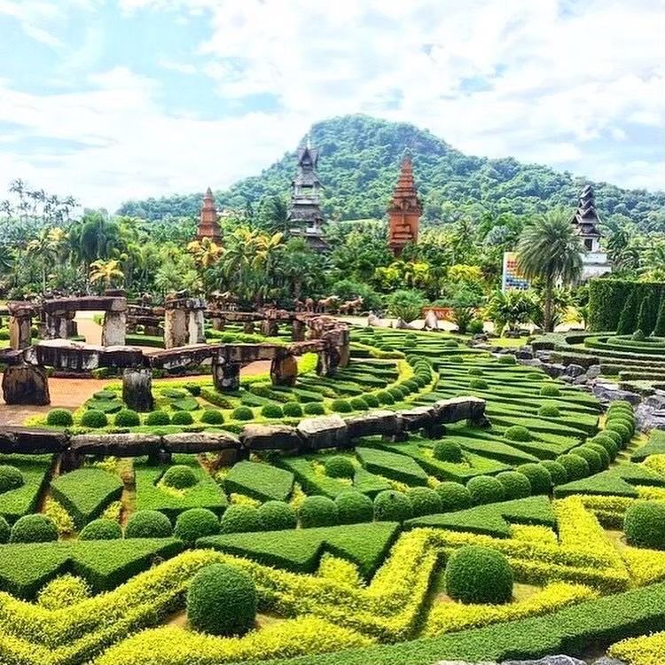 🌴 НОНГ НУЧ стандарт + 2 шоу