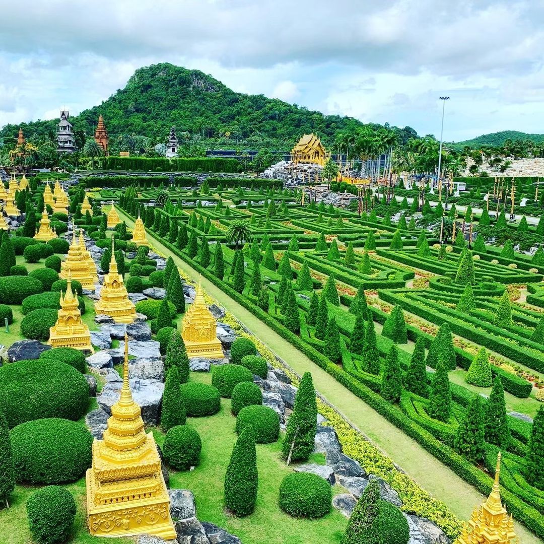 🌴 НОНГ НУЧ стандарт + 2 шоу