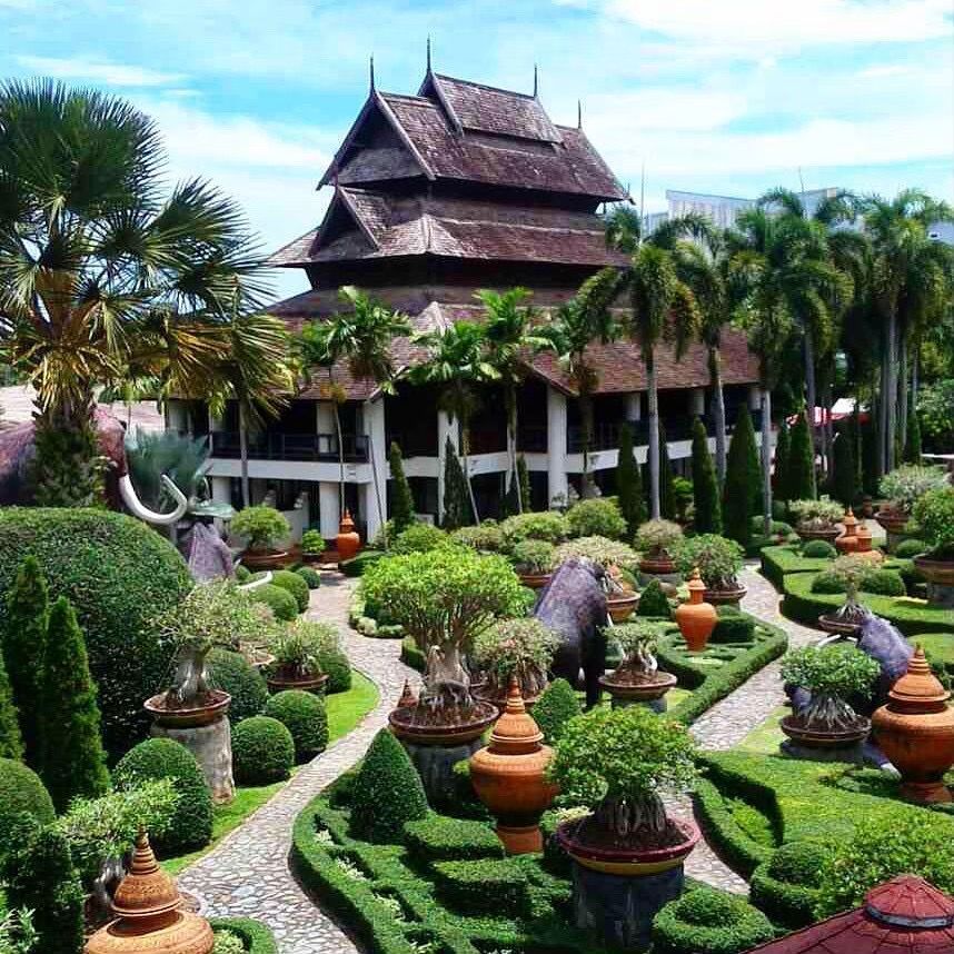 🌴 НОНГ НУЧ стандарт + 2 шоу