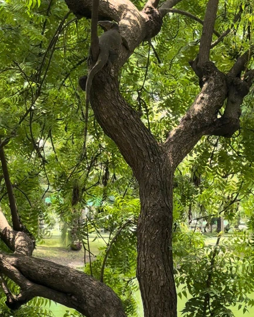 🌃 НОВЫЙ ВЕЧЕРНИЙ БАНГКОК