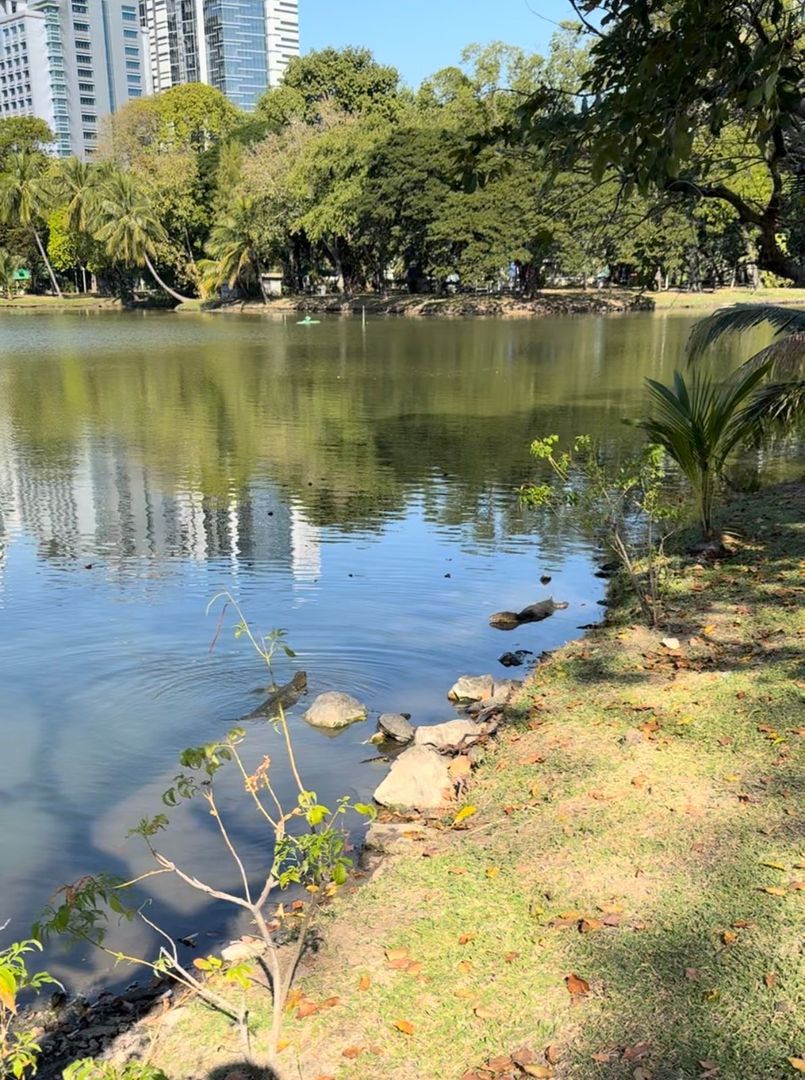 🌃 НОВЫЙ ВЕЧЕРНИЙ БАНГКОК