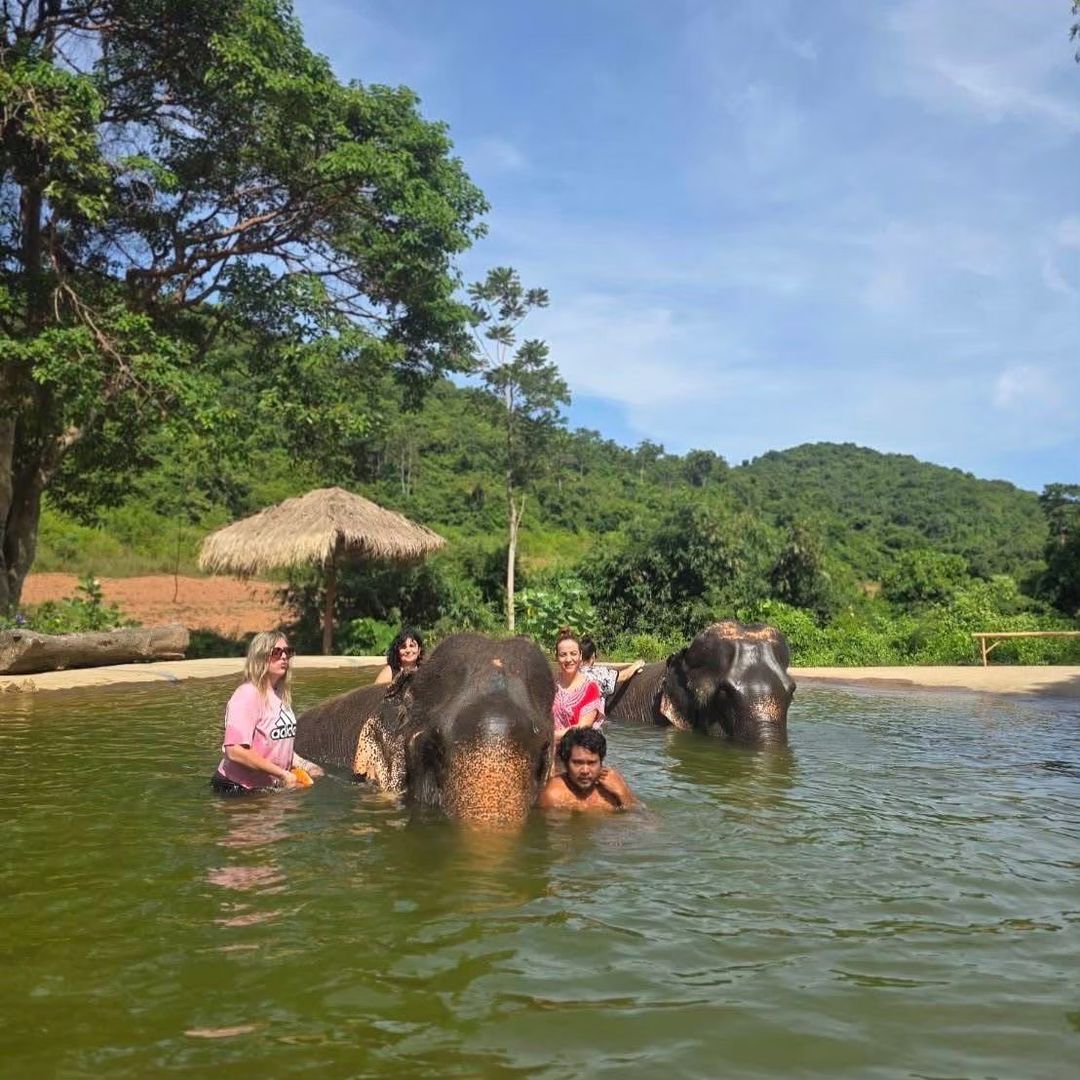 🐘 Путешествие в заповедник слонов Elephant Jungle Sanctuary