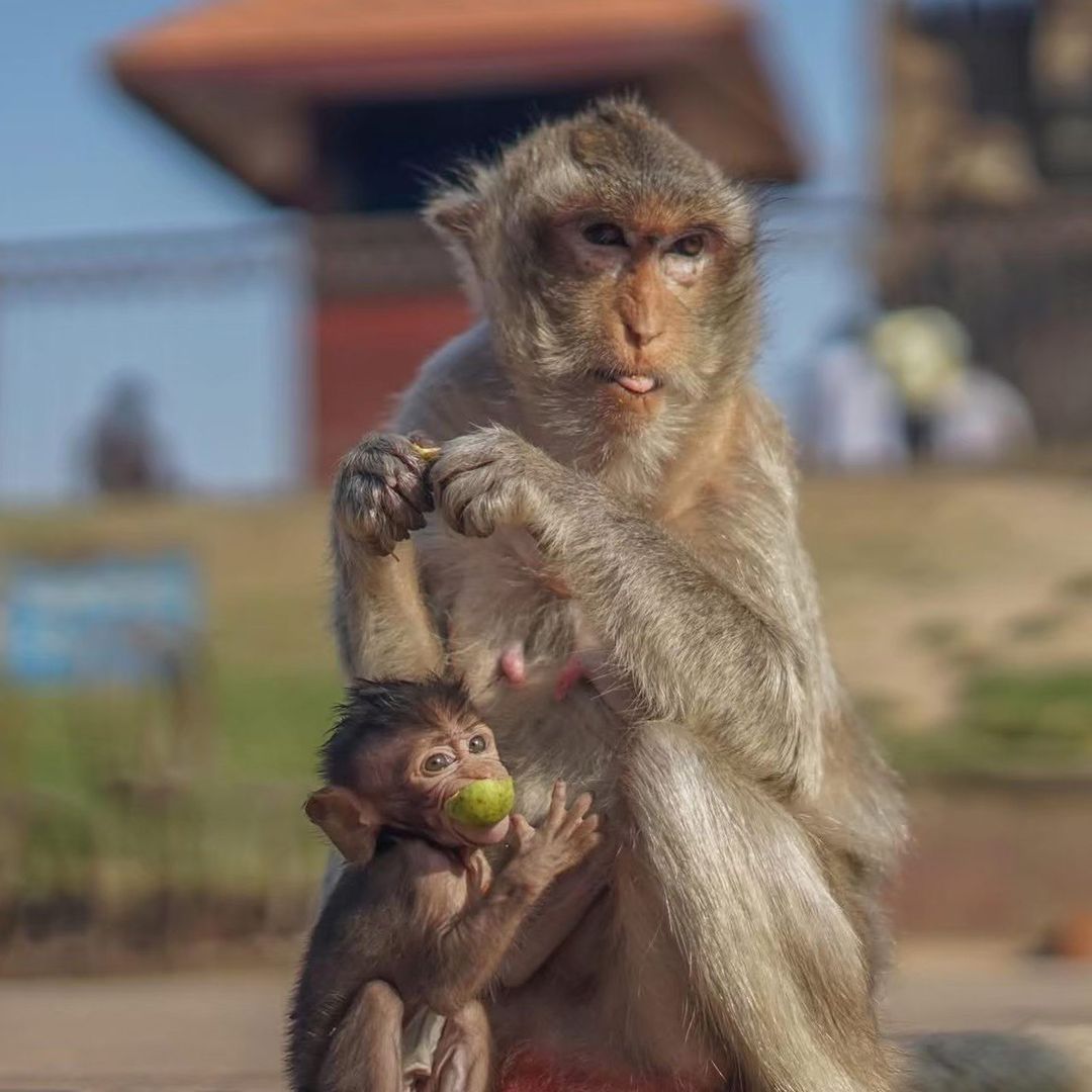 🕯️ СИЛА ЖИЗНИ