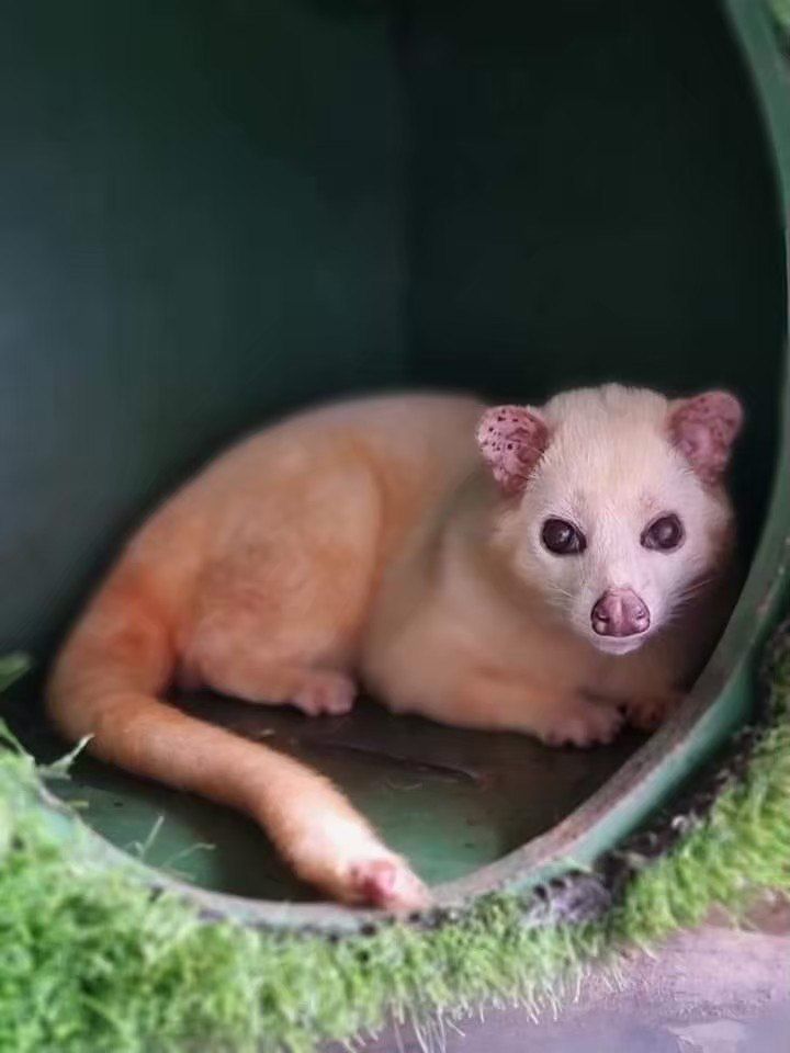 🐾 В МИРЕ ЖИВОТНЫХ