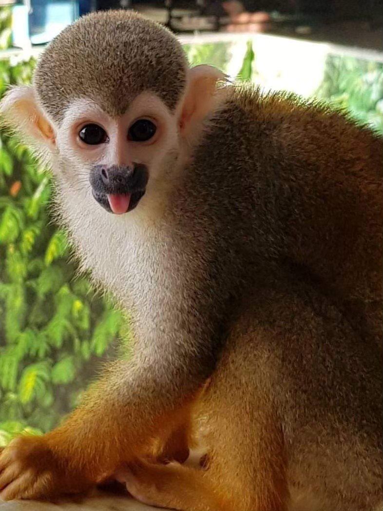 🐾 В МИРЕ ЖИВОТНЫХ