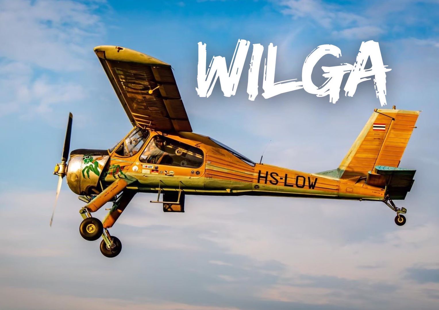 🛩 Винтажный самолёт Wilga