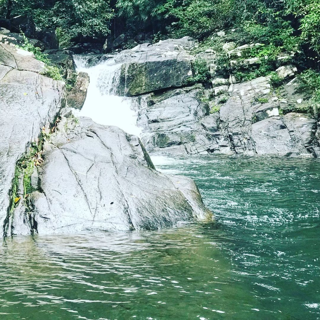 🌿 ЗАТЕРЯННЫЙ МИР